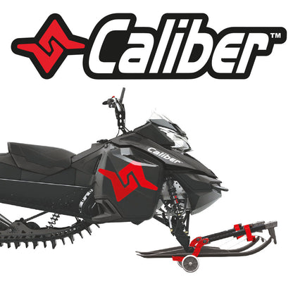 ENSEMBLE UNIVERSEL DE ROUES POUR SKIS CALIBER - 846